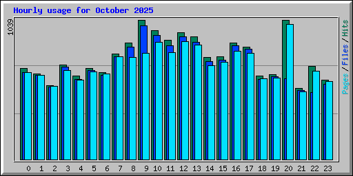 Hourly usage for October 2025