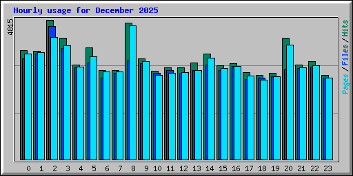 Hourly usage for December 2025