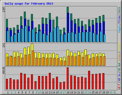Daily usage for February 2013