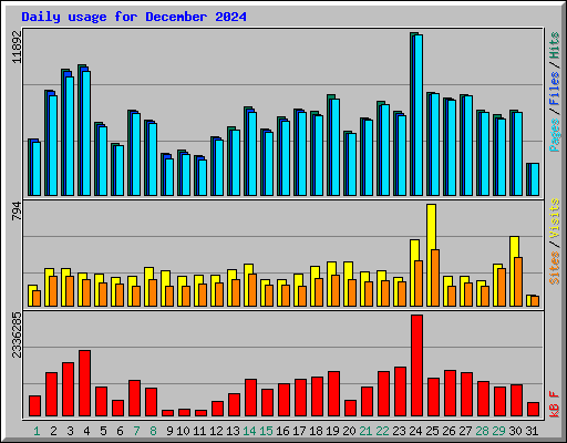 Daily usage for December 2024
