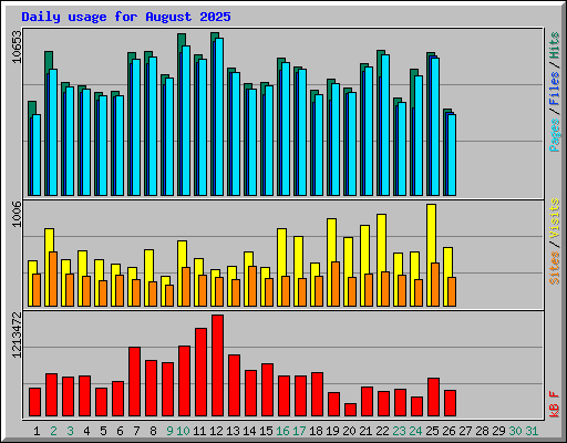 Daily usage for August 2025