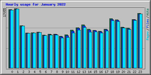 Hourly usage for January 2022