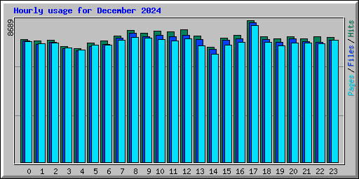 Hourly usage for December 2024