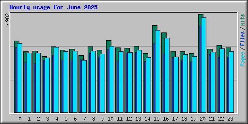 Hourly usage for June 2025