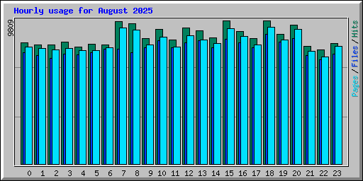 Hourly usage for August 2025