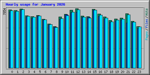 Hourly usage for January 2026