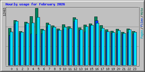 Hourly usage for February 2026