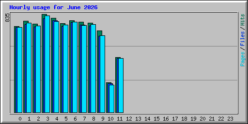 Hourly usage for June 2026